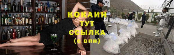 винт Алзамай
