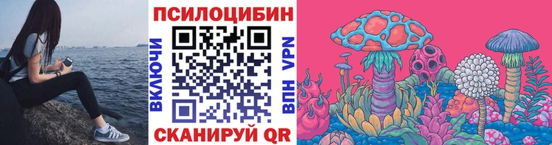 гидра как войти  Пролетарск  Галлюциногенные грибы Magic Shrooms 